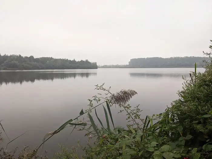 Marais d'Harchies