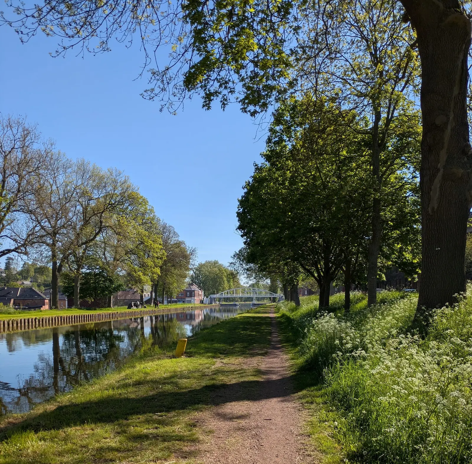 Chemin de terre le long d’un canal bordé d’arbres, sous ciel bleu, avec un pont blanc au loin et une ambiance paisible.