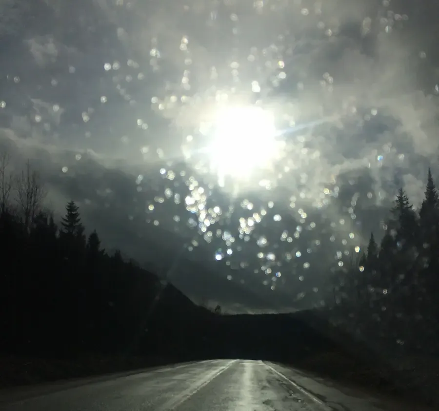 Soleil et humidité, route bordée d'arbres