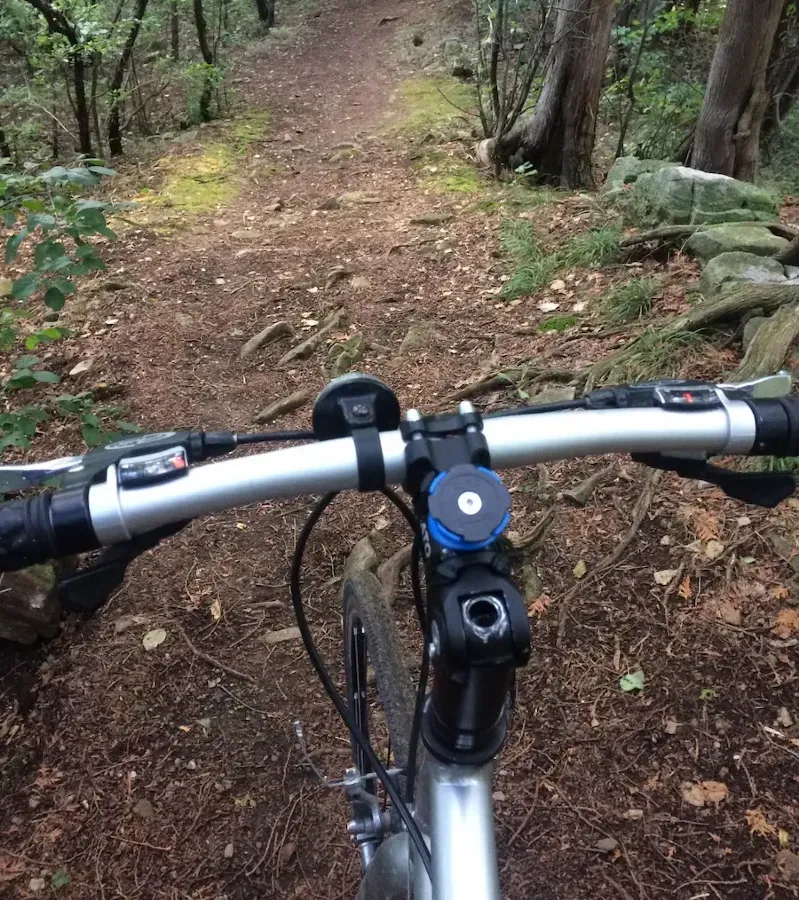 Vélo sur un sentier forestier. Végétation verte et arbres autour. Sol brun et rocailleux. Ambiance aventureuse et naturelle.