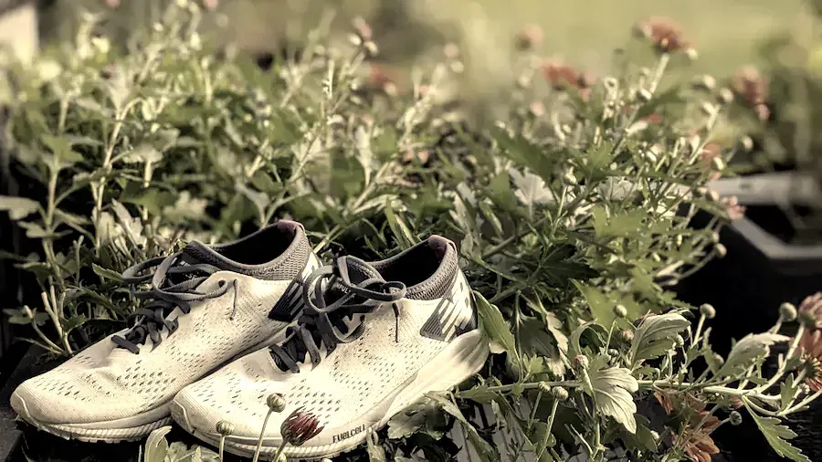 chaussures course fleurs