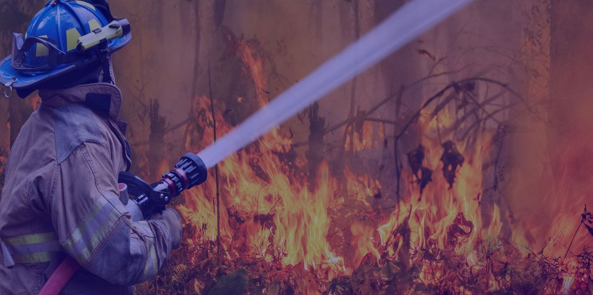 Here's how you can donate to Australia’s bushfire relief effort as well