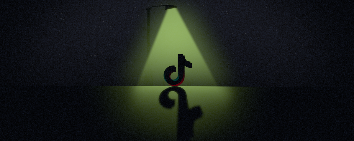 TikTok Shadowbans: Explained by an Actual Creator