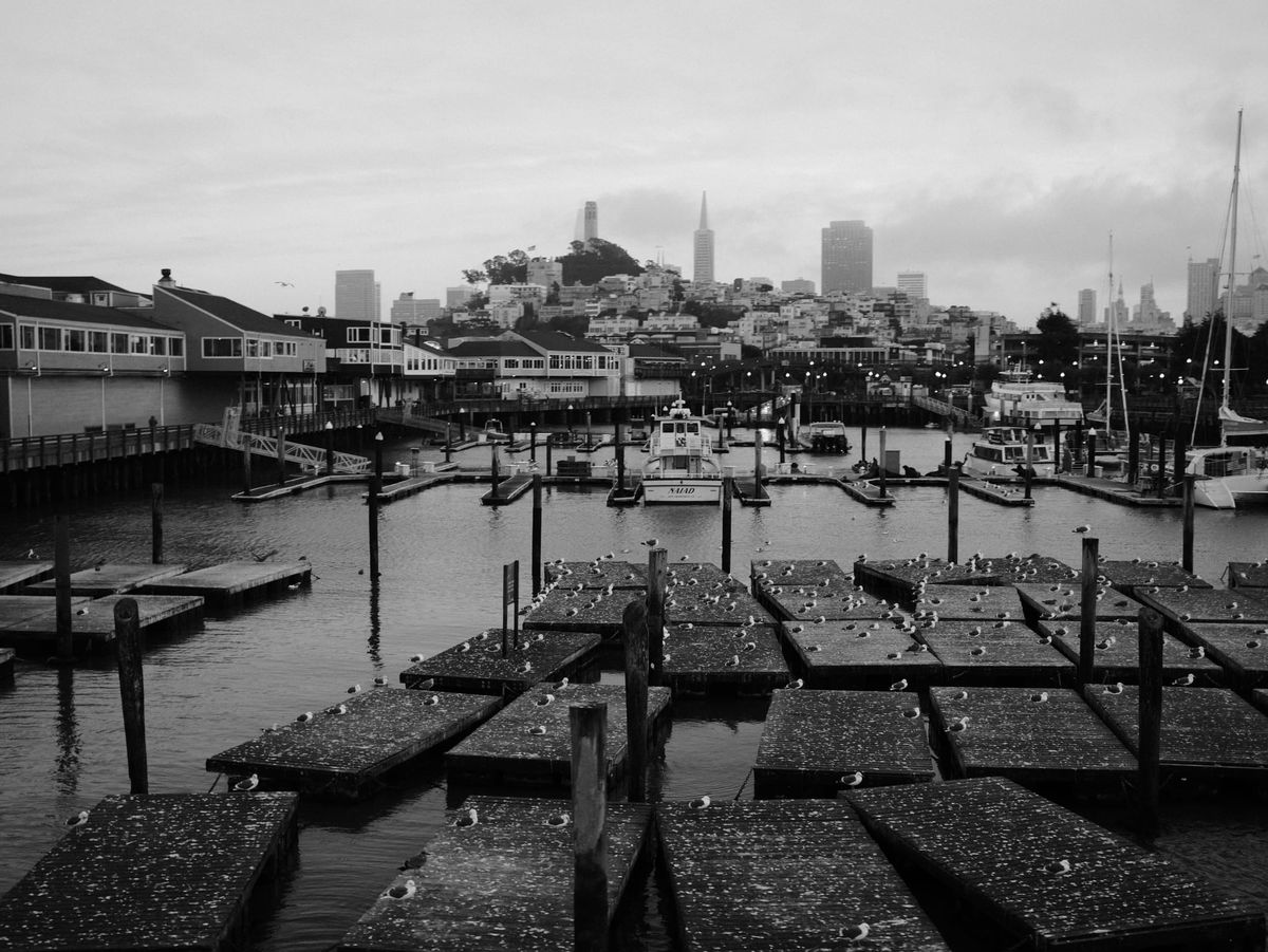 Fuji Tales of San Francisco