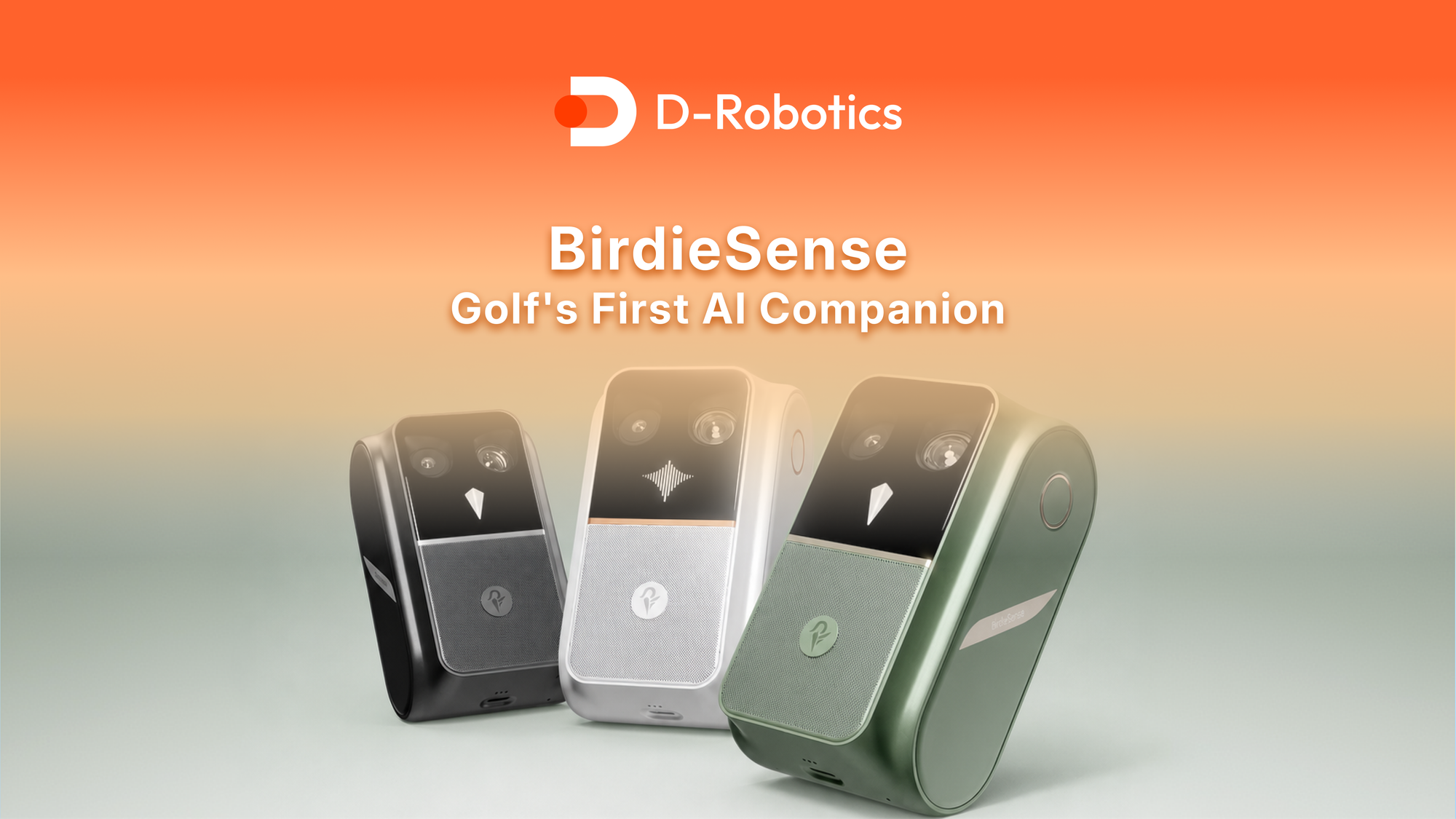 BirdieSense: Bringing Pro-Level Golf Training Within Reach