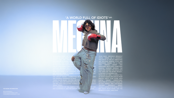 Meghna's 'A World Full of Idiots' Explores Fury and Self Awareness