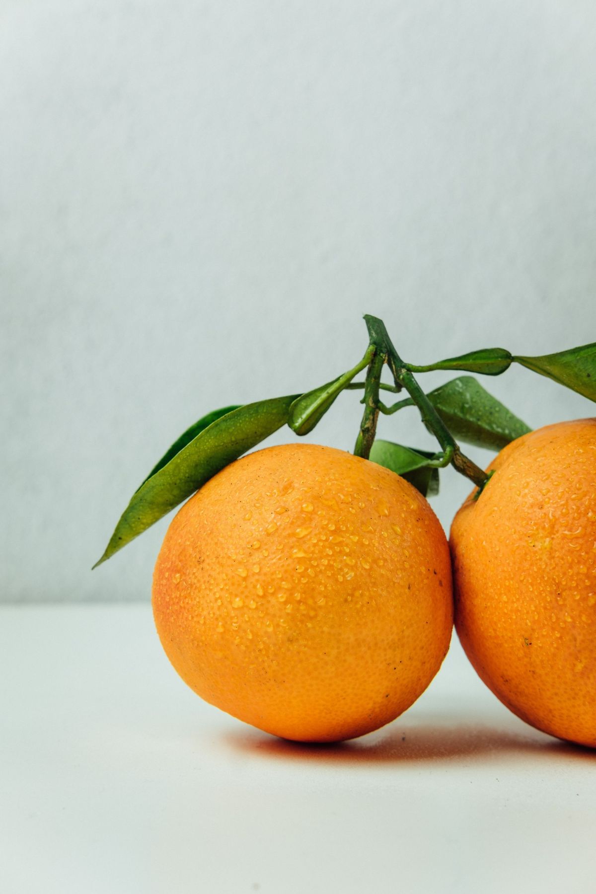 暗号通貨勉強会: Orange DAO、Coinbaseほか
