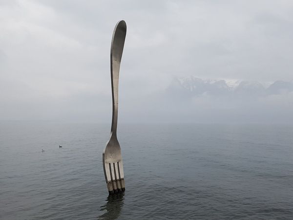 Cryptocurrency Study Group: Hard Fork
