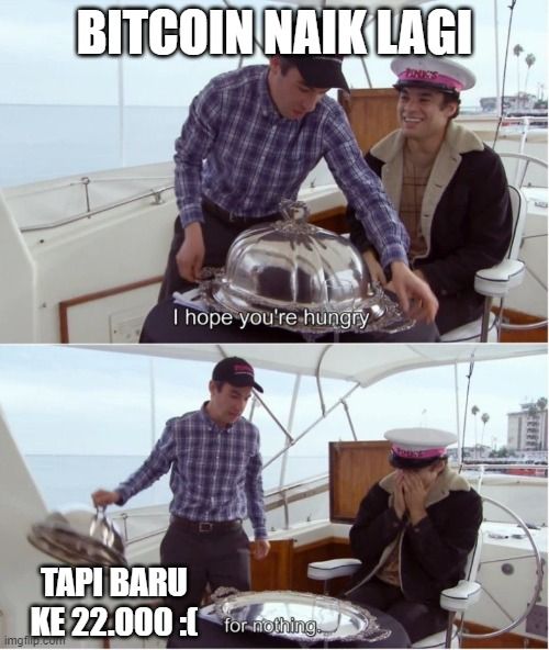 meme crypto bitcoin naik lagi