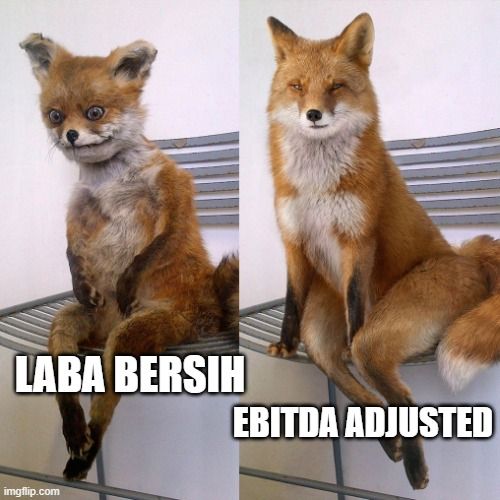 perbedaan ebitda adjusted dengan laba bersih
