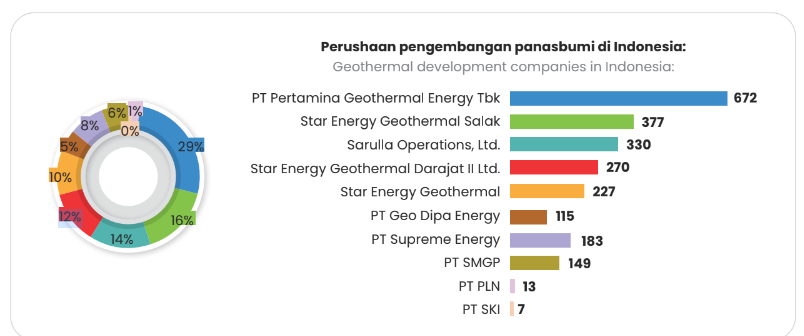 Pangsa pasar panas bumi di Indonesia