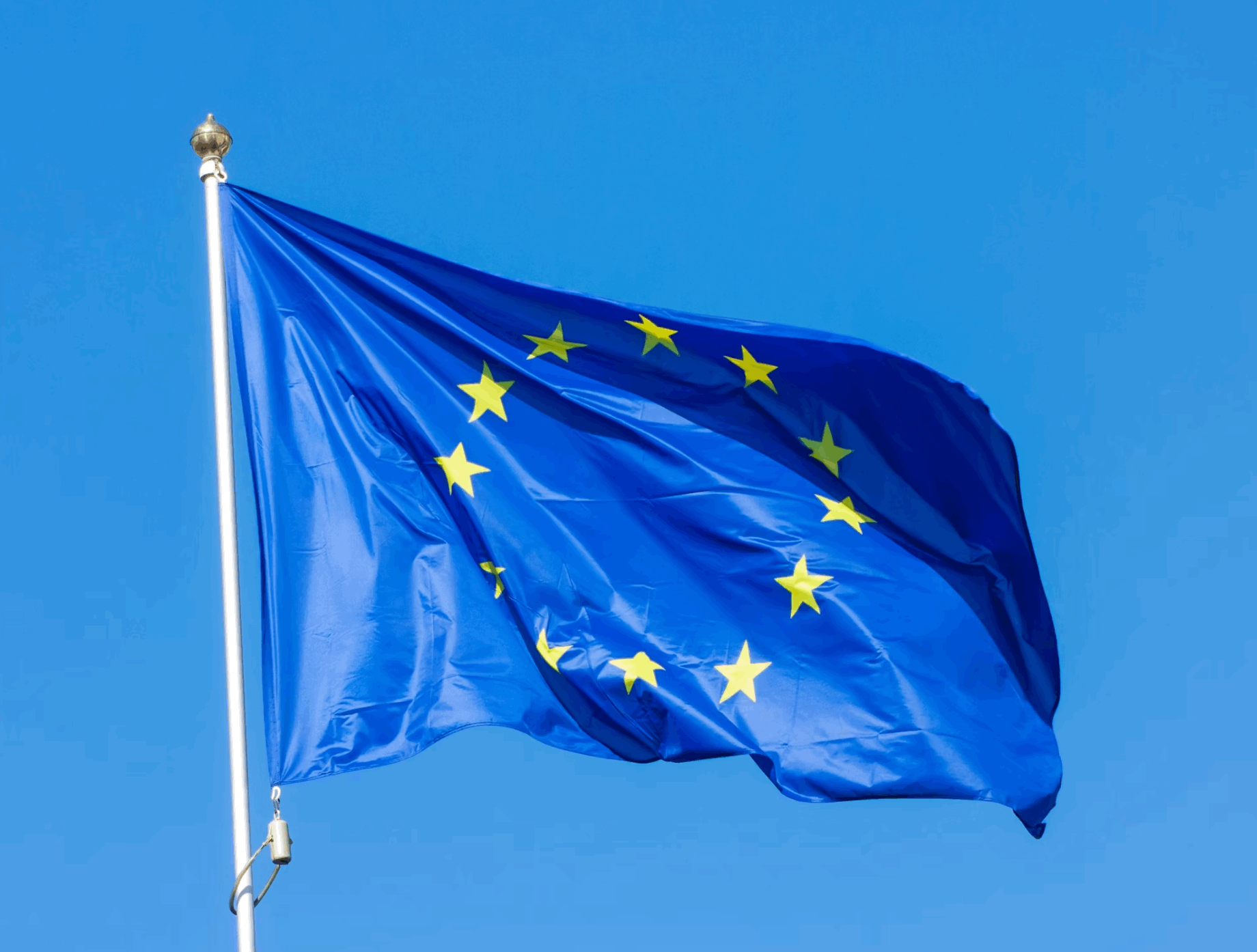 Winning Strategies for European Manufacturers in Tough Global Markets