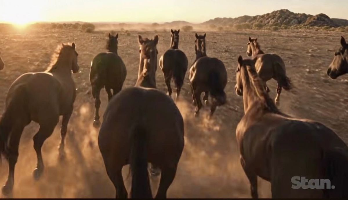 McLeod’s Daughters Returns After 17 Years as Official Trailer Revives Drovers Run