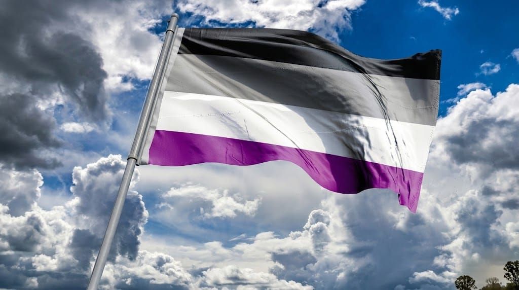 Ace Week 2026: A complete guide to the international asexual awareness campaign