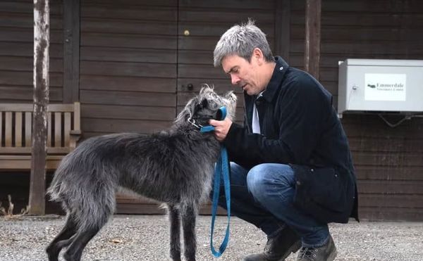 Emmerdale’s Monty Story Highlights Why Soap Dogs Often Become The Show’s Most Loved Characters