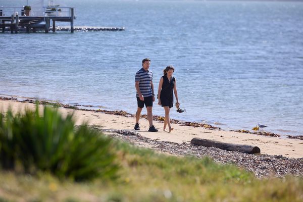 Home and Away: David Langham confronts Amelia as Justin fears love confession