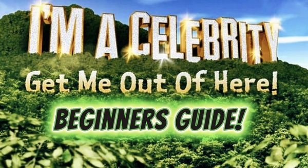What Is I'm A Celebrity? The Complete Beginner's Guide To ITV's Jungle Reality Show