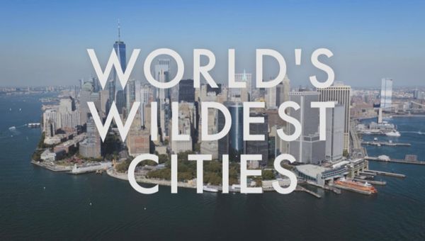 ITV unveils World’s Wildest Cities as new wildlife series exploring five global cities