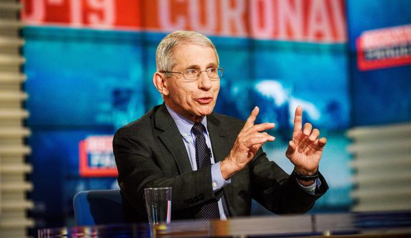 Anthony Fauci honoured as 31 new LGBT History Month icons are revealed