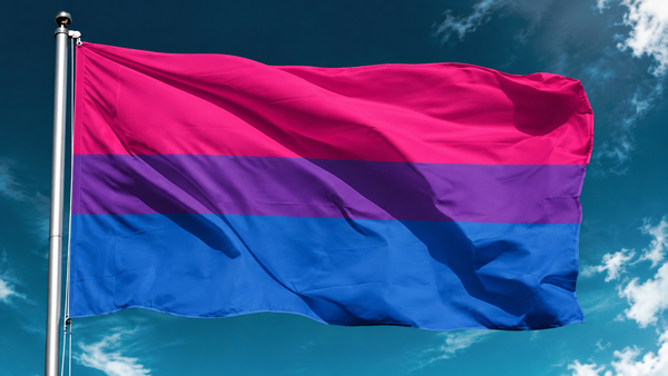 UK bisexuality study finds attitudes and dating preferences diverge