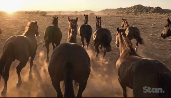McLeod’s Daughters Returns After 17 Years as Official Trailer Revives Drovers Run