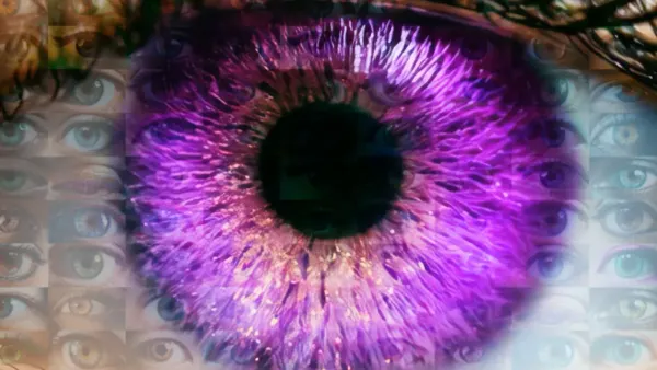 Big Brother hits 12.7 million streams as viewing rises