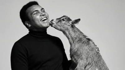Muhammad Ali Returns to the Screen in New AI Film Available to Watch Free