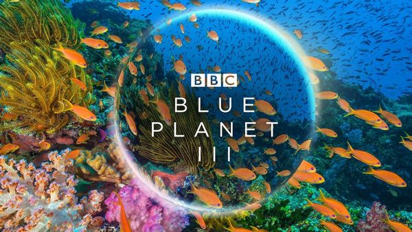 Blue Planet III Starts on BBC One With Three Episodes on iPlayer
