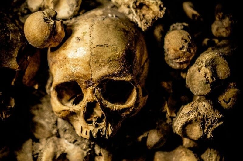 Life 10,000 years ago