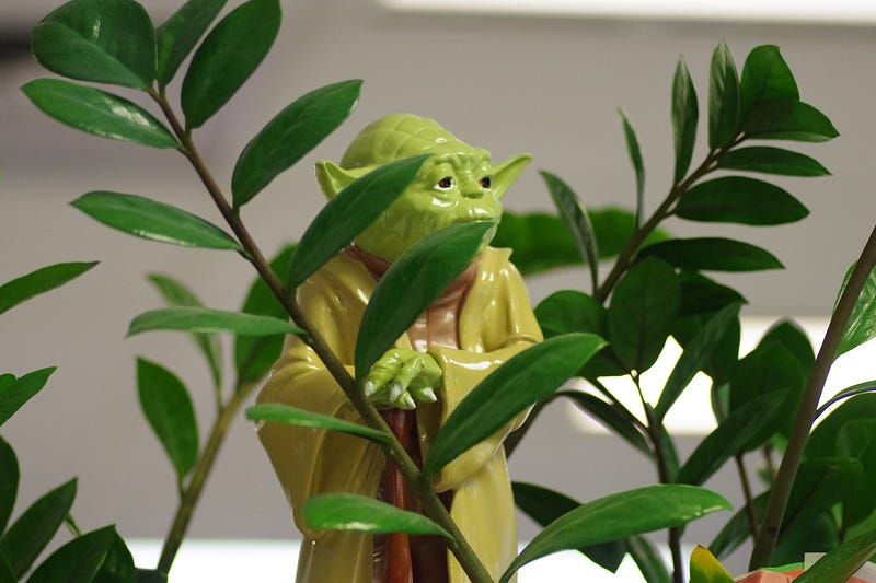 Yoda stands hidden in the branches of a fern