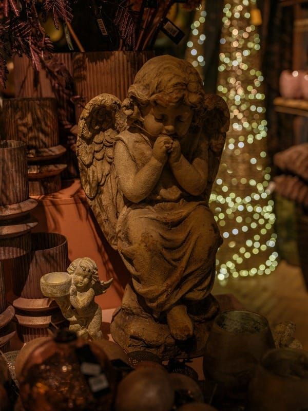 IOD (3) The Conception of Sanni