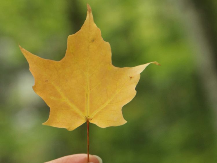 A Change in the Air...