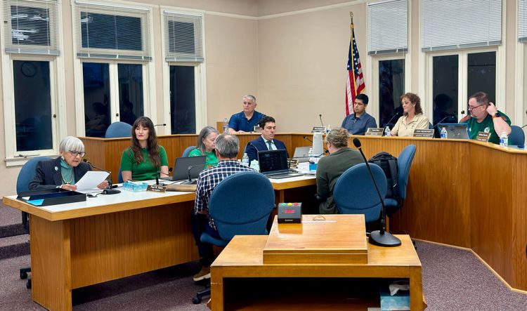 Meeting Notes: Budget concerns surface, Romano’s residency questioned, and districting debate continues