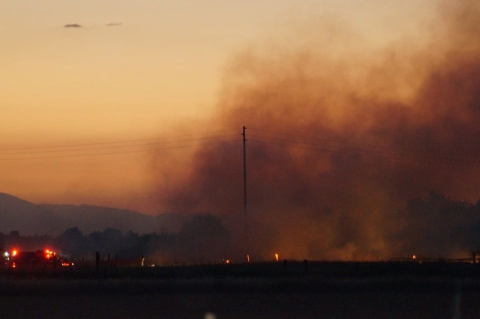 Power blip, bird strike, and a brush fire: Orland outage traced to avian misadventure