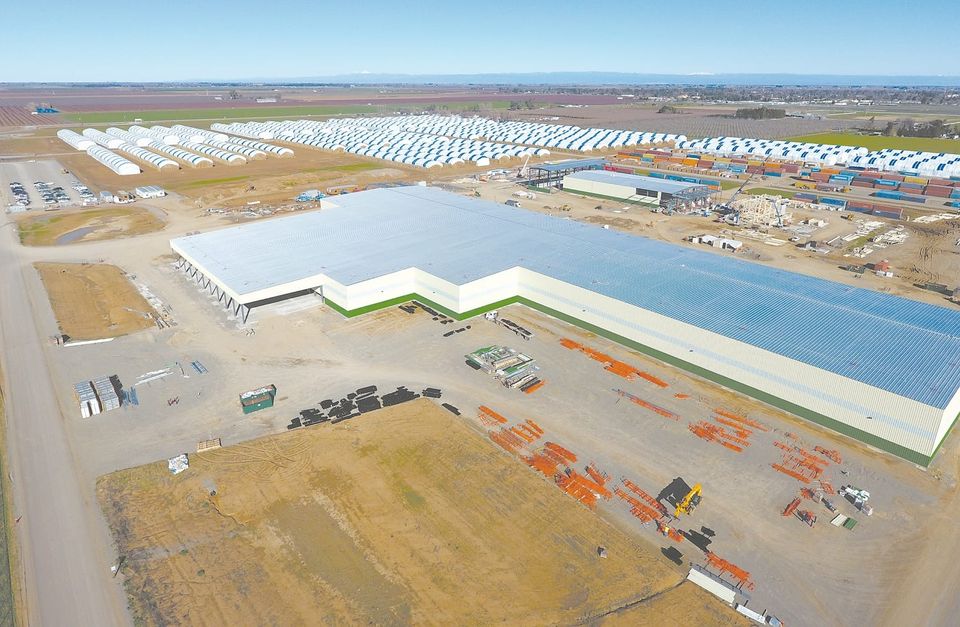 Orland refuses to pay for CalPlant tax loss, says Glenn County bungled bankruptcy case