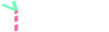 Vertical Slice