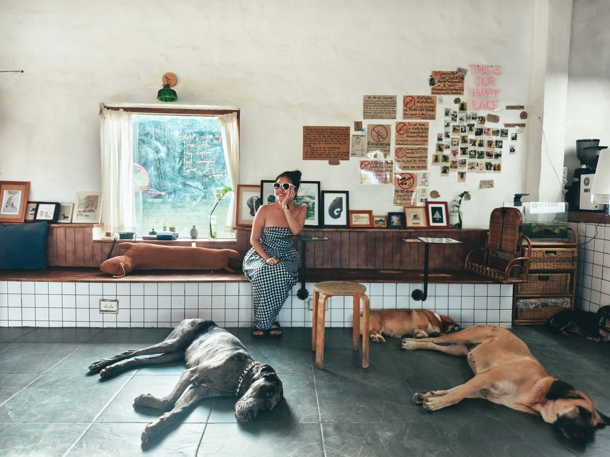 #6 - 《請問大前研一業務學》心得：不是賣東西，而是幫客戶解決問題