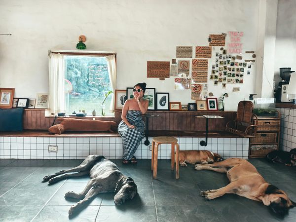 #6 - 《請問大前研一業務學》心得：不是賣東西，而是幫客戶解決問題