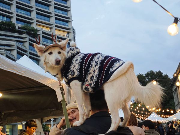 #7 - 《用商業思維優化你的人生選擇》心得：如果可以清清楚楚，就不要模模糊糊的過