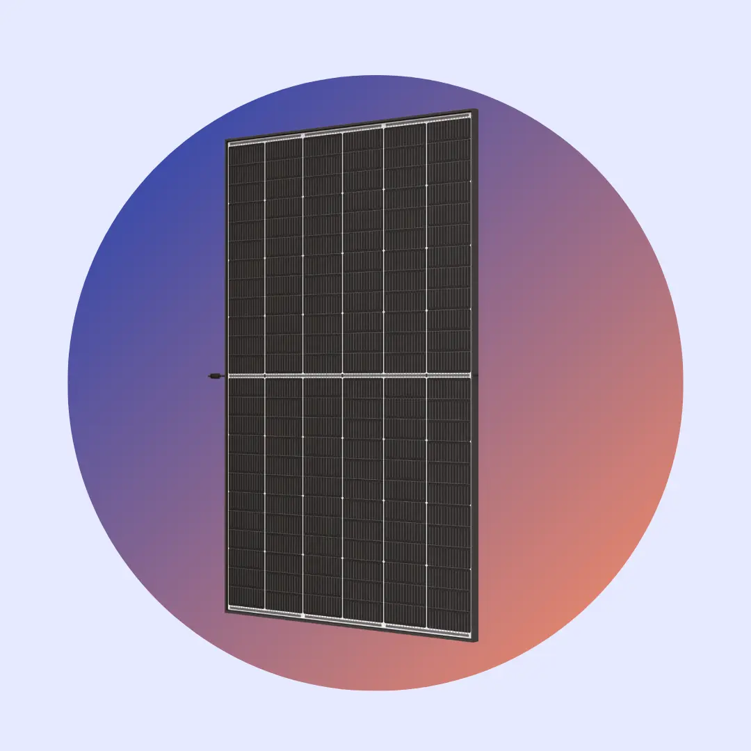 Pannelli TSM-NEG9.28