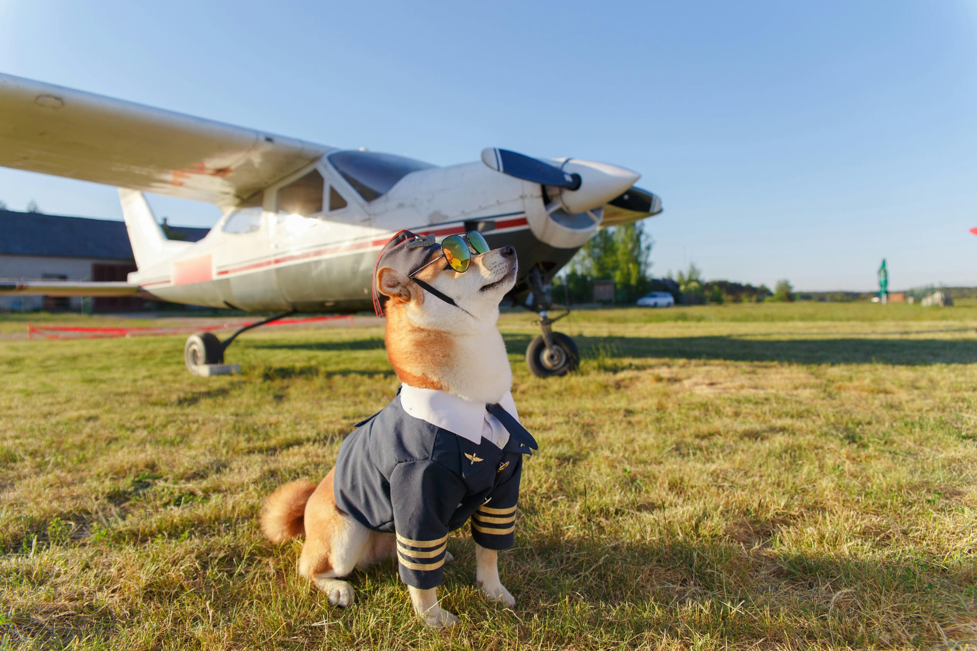 A Shiba Inu dog dressed as a pilot, wearing aviator sunglasses and a captain’s uniform, sits on the grass in front of a small propeller airplane under a clear blue sky.
