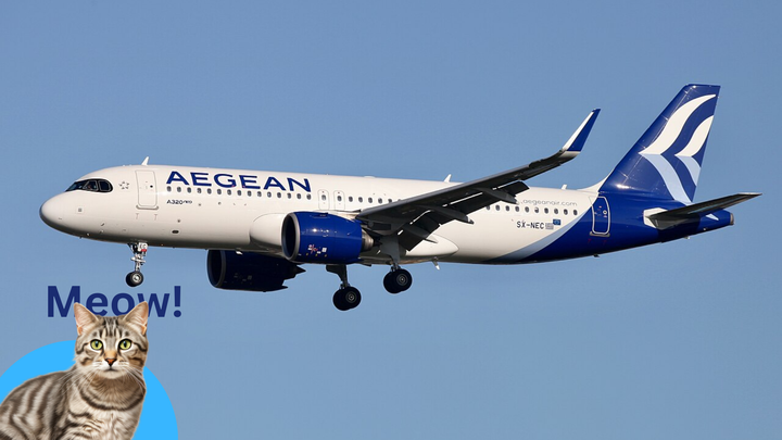 Aegean Airlines Airbus A320 flying against clear blue sky, with a cartoon cat and the word "Meow!" in bold blue letters at the bottom left corner.