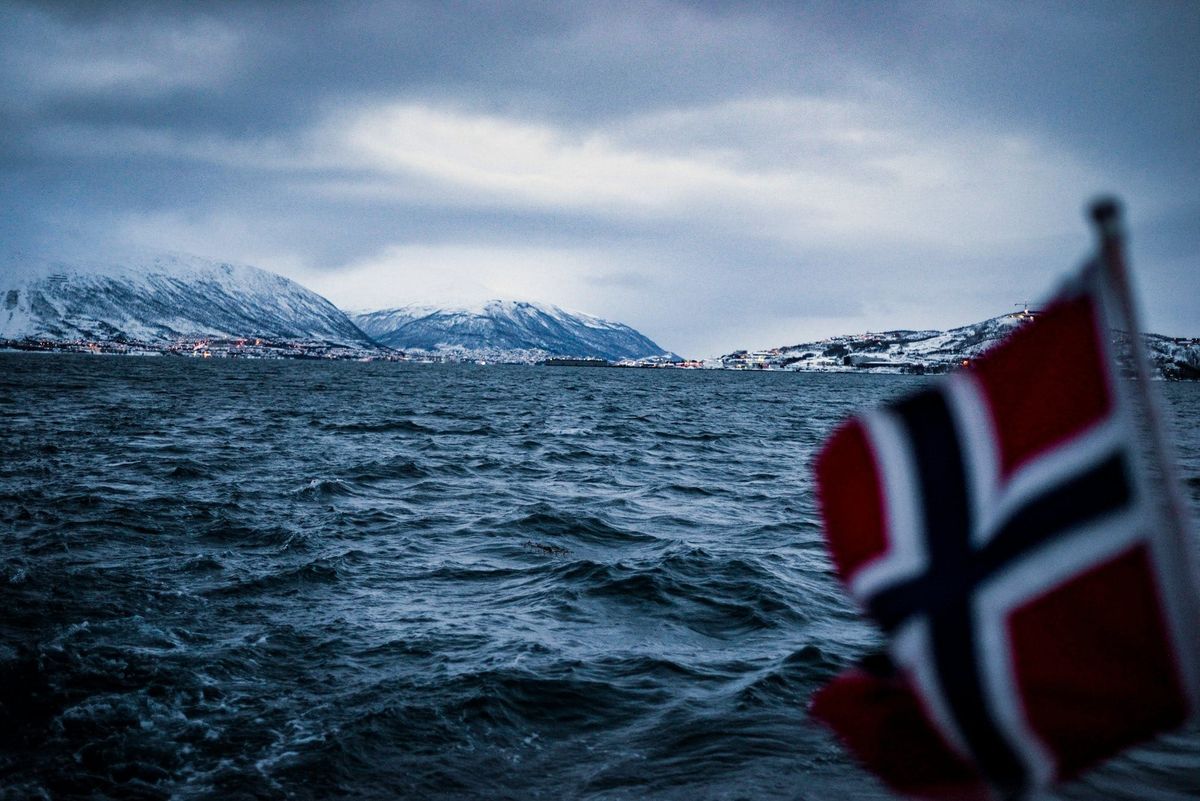 The Norwegian Left: Into The Ranks Of War