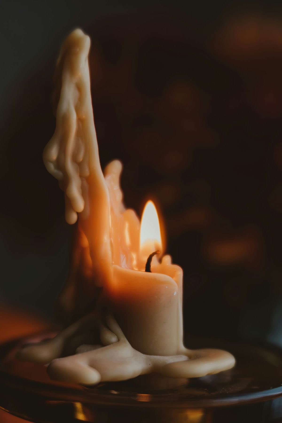 "Notice Me"—returning you to spaciousness