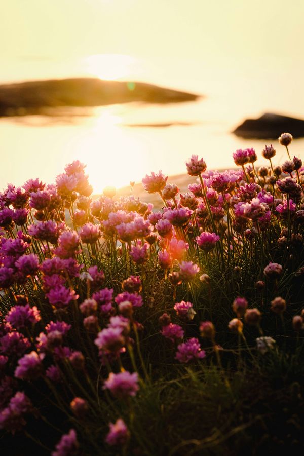 What delight are you remembering?