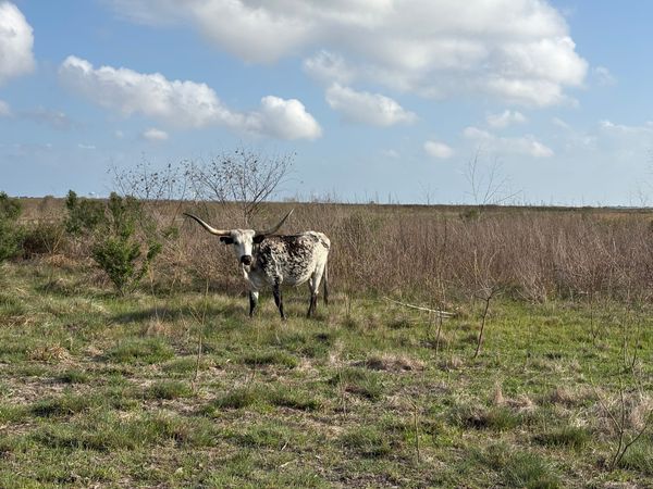 Living with a Changing Climate Postcards