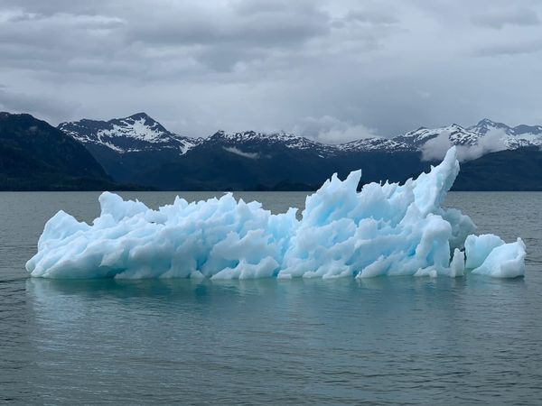 Invitation to Alaska