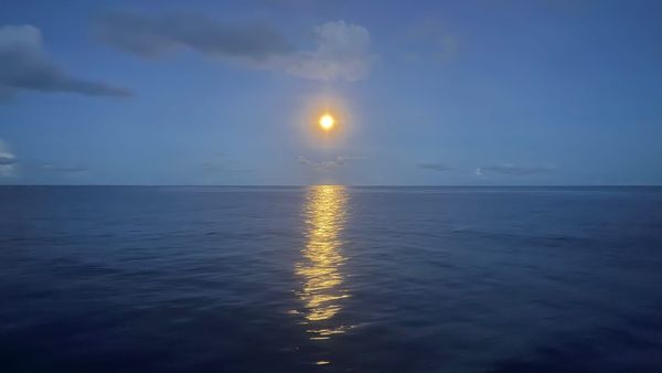 New Zealand to Alaska Sailing Routes