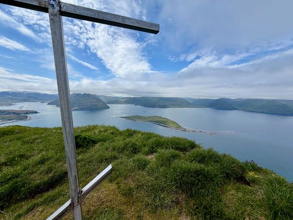 Getting Back on Trail