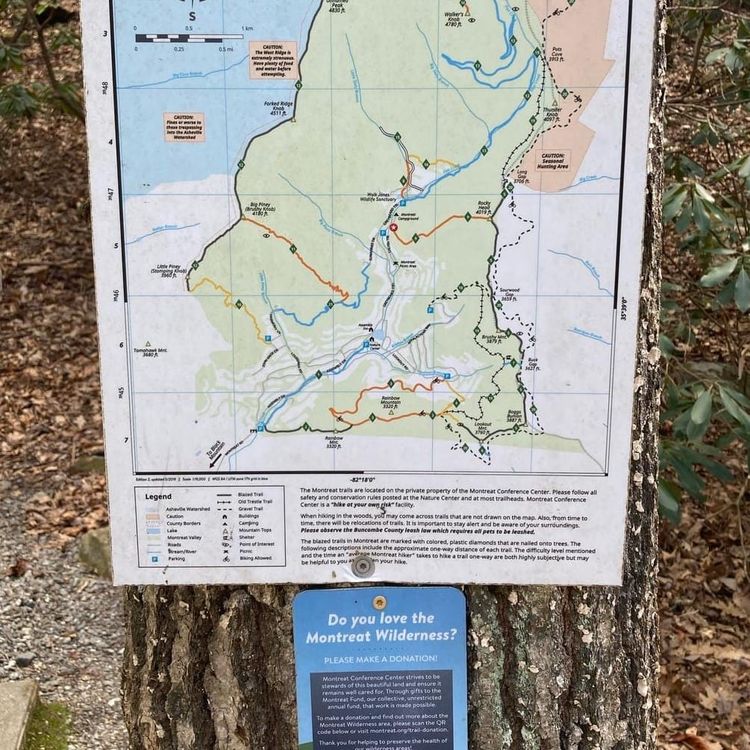Map of Montreat Wilderness, posted on a tree trunk, with green leafy plants in the background.